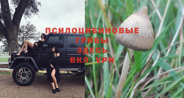 кокс Армянск