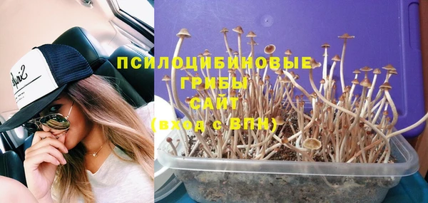 стаф Алексеевка