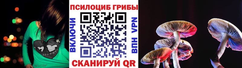 где можно купить   Саров  Псилоцибиновые грибы ЛСД 